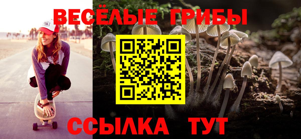 Галлюциногенные грибы Psilocybine cubensis Узловая