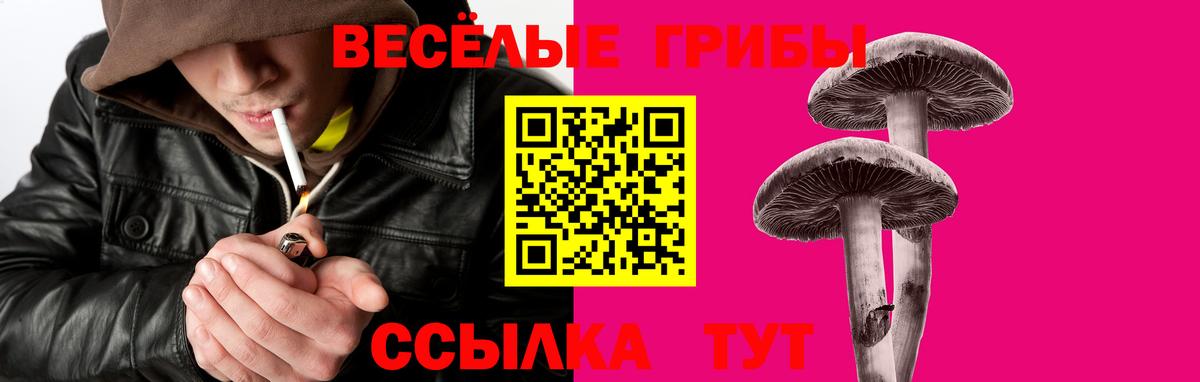 где найти   Вход с VPN  Узловая  Галлюциногенные грибы мухоморы 